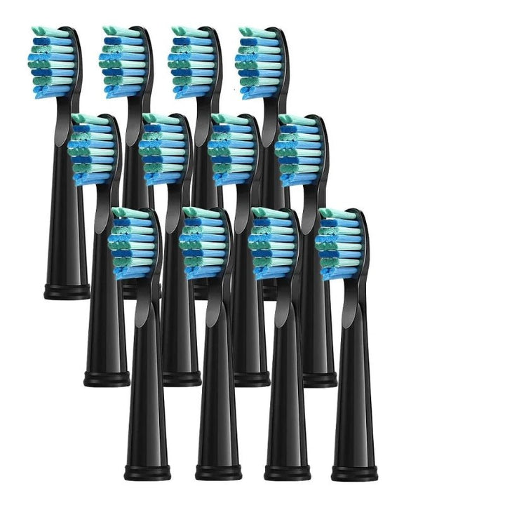 4/8/12/16 Pcs Dupont Bristle Replacement Heads for Seago & Fairywill Electric Toothbrush - Babylon