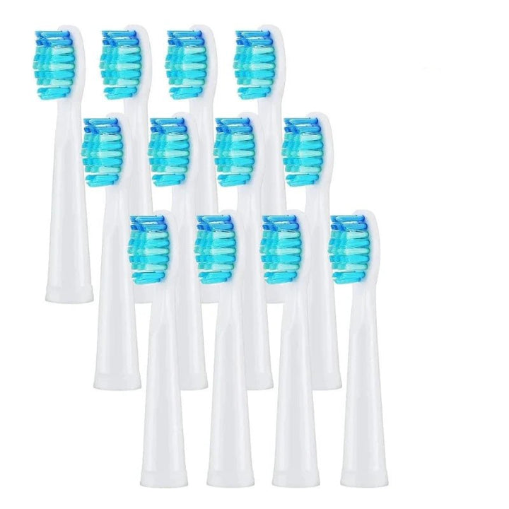 4/8/12/16 Pcs Dupont Bristle Replacement Heads for Seago & Fairywill Electric Toothbrush - Babylon