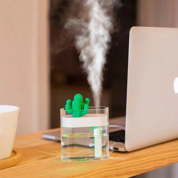 Buy - Clear Cactus Humidifier - Babylon