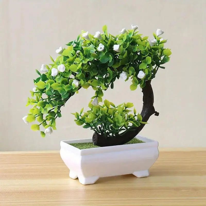 Buy - Small Bonsai Tree - Babylon