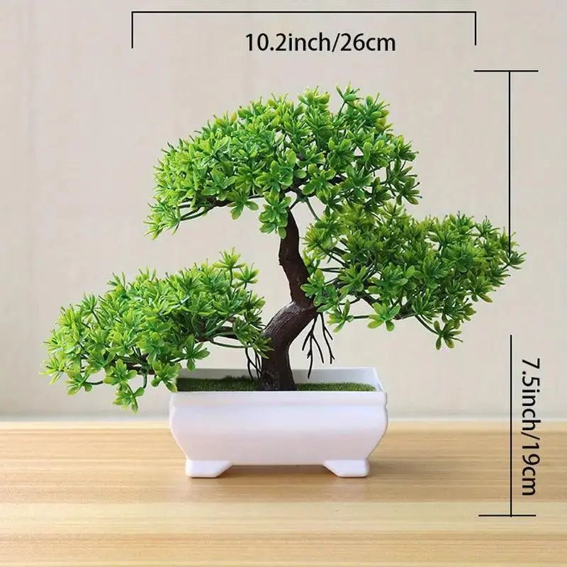 Buy - Small Bonsai Tree - Babylon