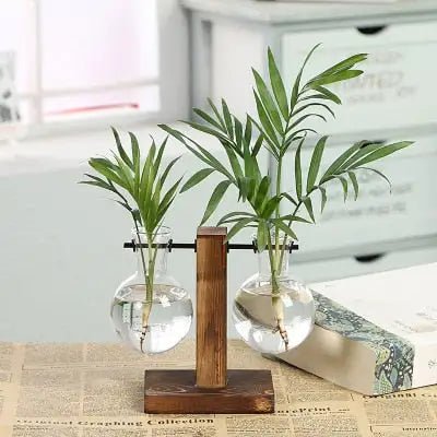 Buy - Transparent Plant Vases - Babylon