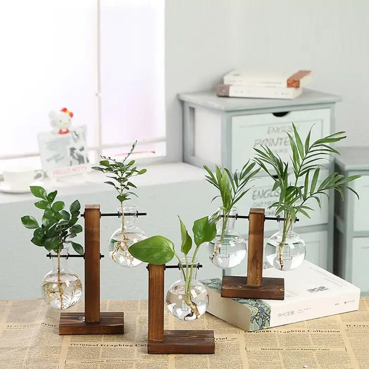 Buy - Transparent Plant Vases - Babylon