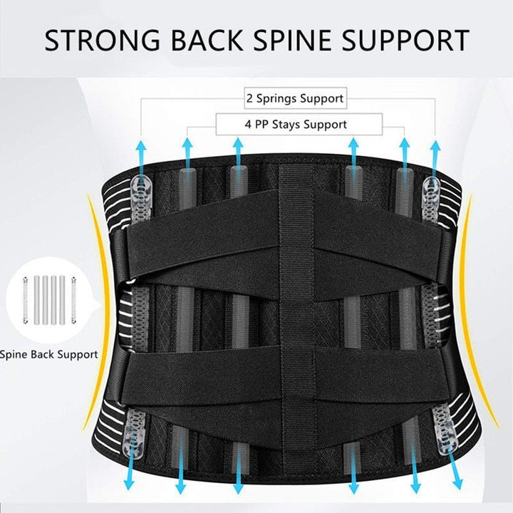 Back Lumbar Support Belt Babylon